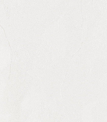 Метровые обои Bernardo Bartalucci Gaga  84284-17